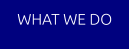 WHAT WE DO