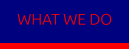 WHAT WE DO